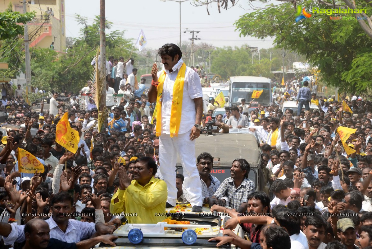 Balakrishna Nomination at Hindupur (Set 2)