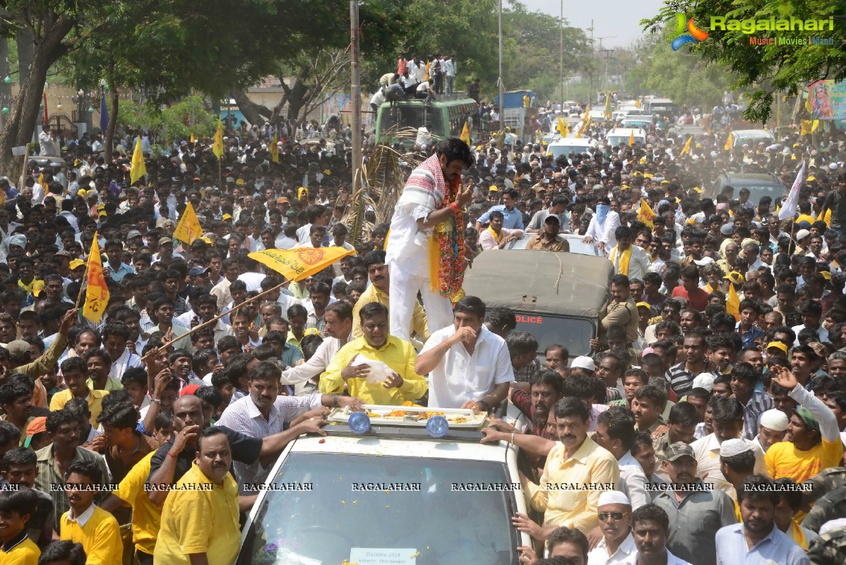 Balakrishna Nomination at Hindupur (Set 2)