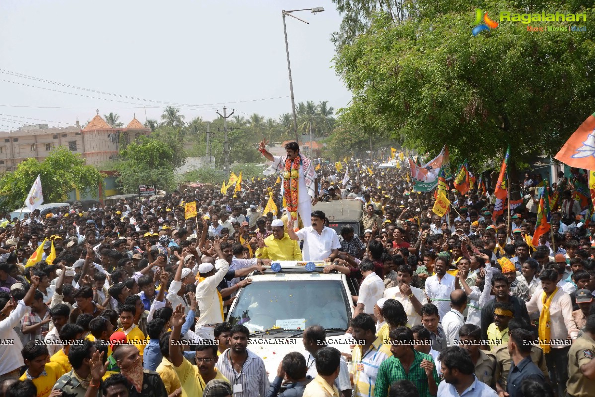 Balakrishna Nomination at Hindupur (Set 2)