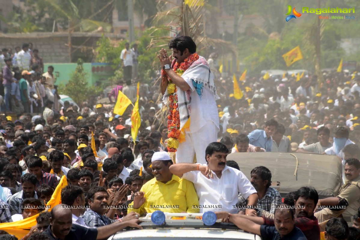 Balakrishna Nomination at Hindupur (Set 2)