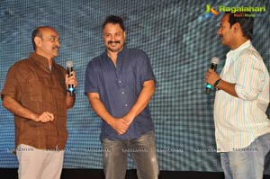 Chandamamalo Amrutham Audio Release