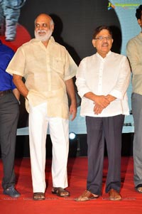 Chandamamalo Amrutham Audio Release