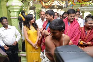 Gopichand-Rakul Preet Singh Film