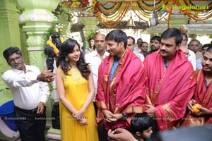 Gopichand-Rakul Preet Singh Film