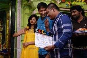 Gopichand-Rakul Preet Singh Film