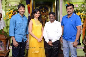 Gopichand-Rakul Preet Singh Film