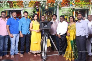 Gopichand-Rakul Preet Singh Film