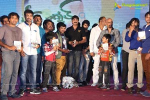 Green Signal Audio Release