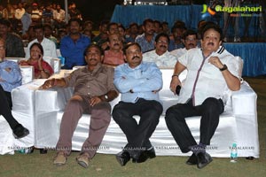 Green Signal Audio Release