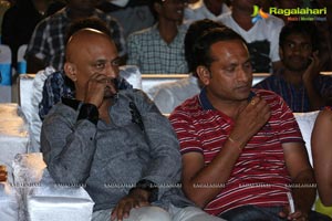 Green Signal Audio Release