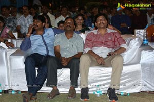 Green Signal Audio Release