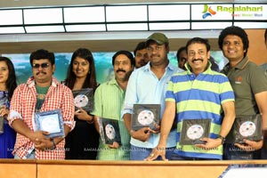 Hrudaya Kaleyam Platinum Disc