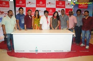 Hrudaya Kaleyam Success Meet