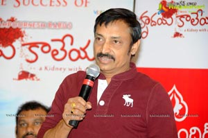 Hrudaya Kaleyam Success Meet