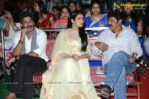 Legend Success Meet