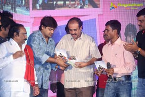 Nenu Naa Friends Audio Release