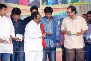 Nenu Naa Friends Audio Release