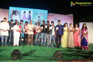 Nenu Naa Friends Audio Release