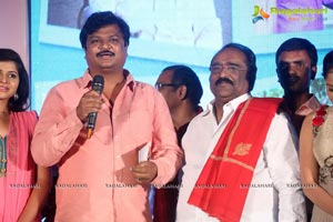 Nenu Naa Friends Audio Release