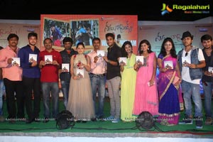 Nenu Naa Friends Audio Release