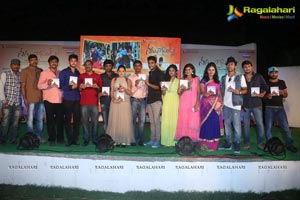 Nenu Naa Friends Audio Release