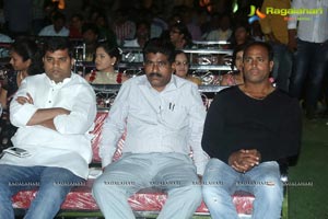 Nenu Naa Friends Audio Release