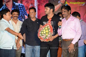 Pyar Mein Padipoyane Audio Release