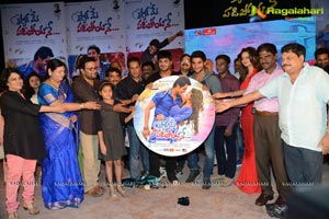 Pyar Mein Padipoyane Audio Release