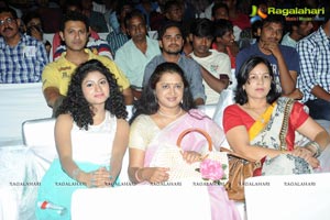 Pyar Mein Padipoyane Audio Release