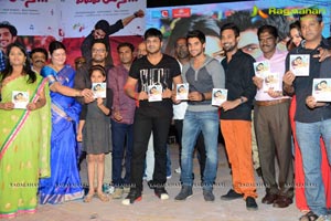 Pyar Mein Padipoyane Audio Release