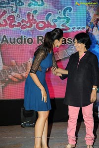 Pyar Mein Padipoyane Audio Release