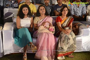 Pyar Mein Padipoyane Audio Release