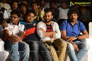 Pyar Mein Padipoyane Audio Release