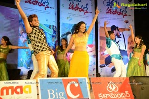 Pyar Mein Padipoyane Audio Release