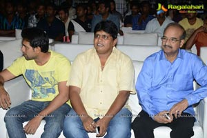 Race Gurram Success Meet