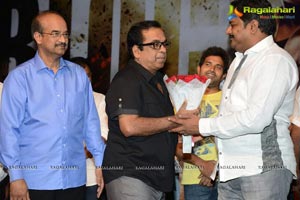 Race Gurram Success Meet