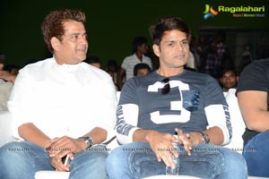 Race Gurram Success Meet