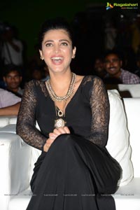 Race Gurram Success Meet