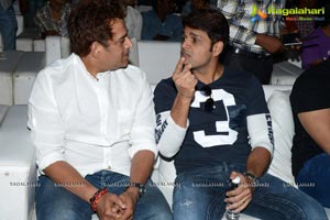 Race Gurram Success Meet