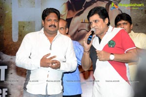 Race Gurram Success Meet