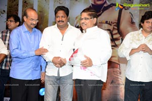 Race Gurram Success Meet