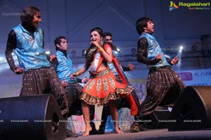 AP Punjabi Sabha Baisakhi Mela