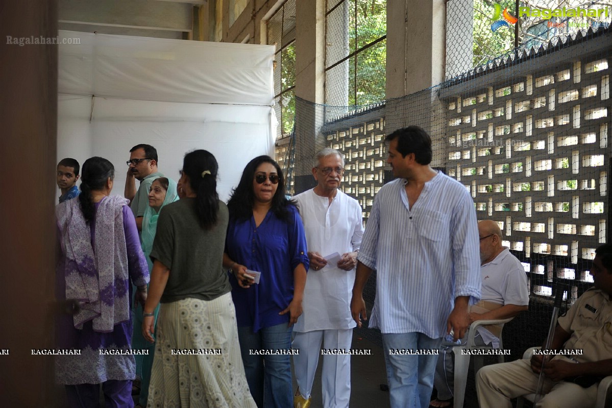 Bollywood Celebs at Lok Sabha Polls 2014