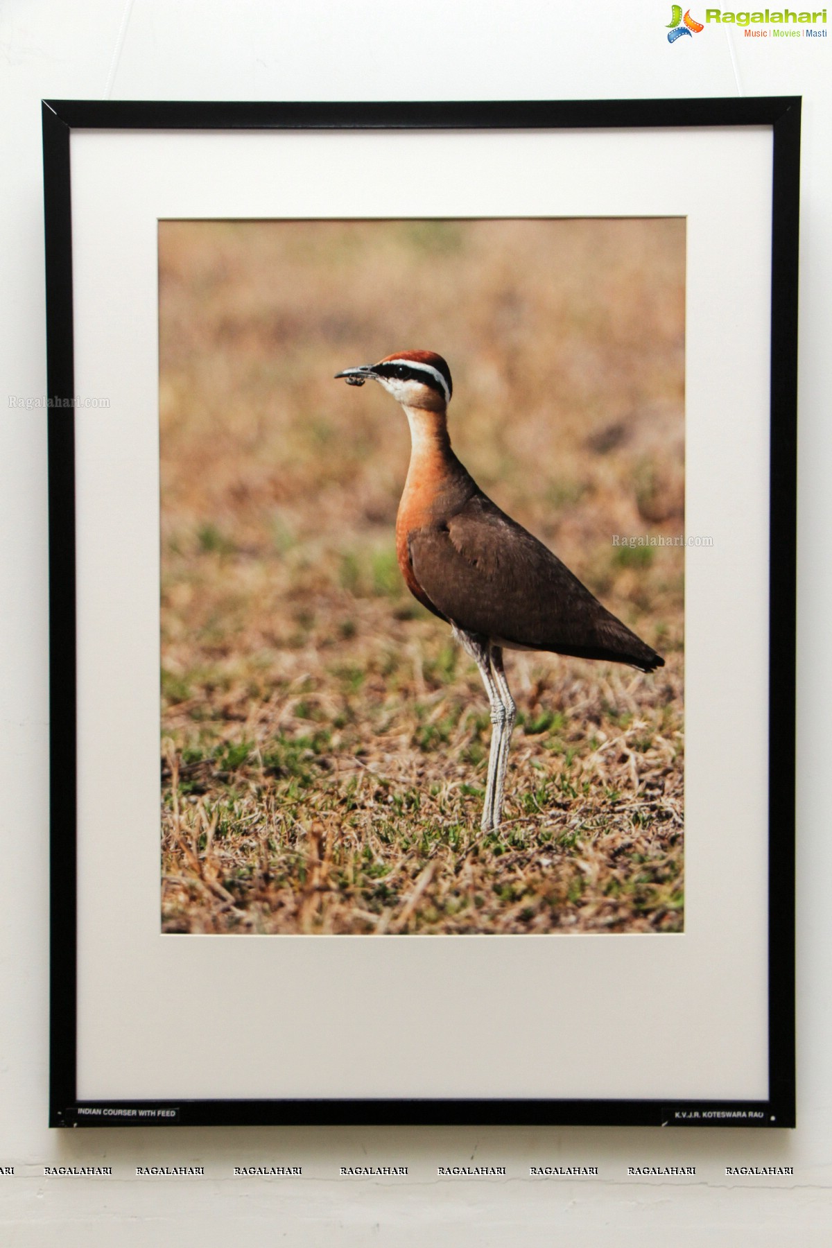 Connections - Photography Exhibition at State Art Gallery