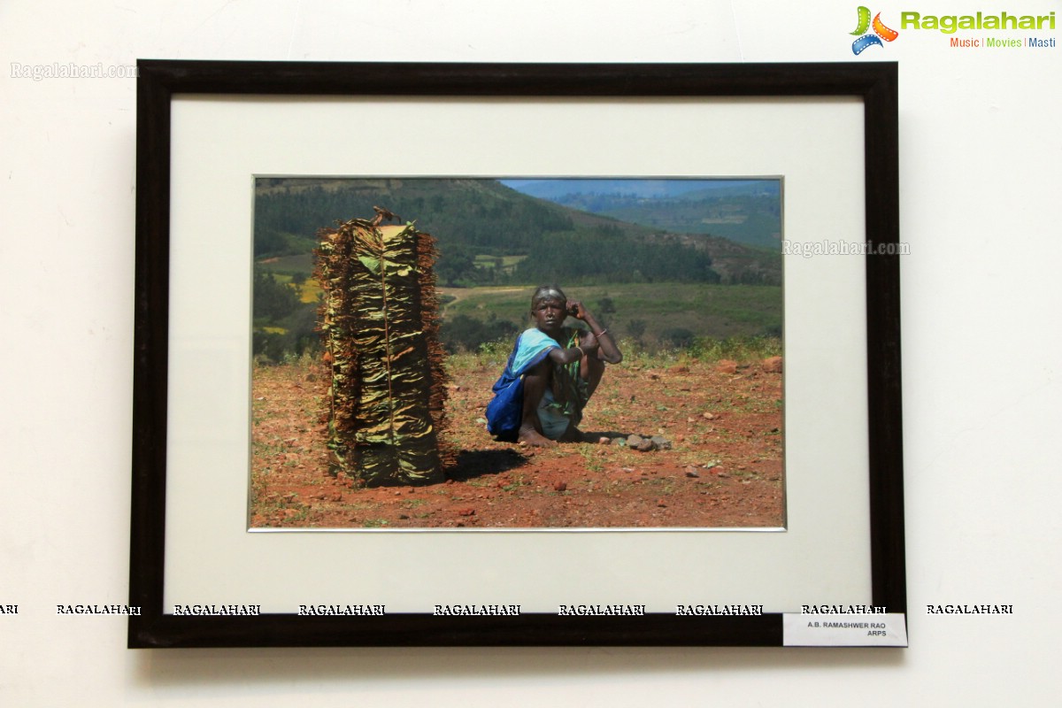 Connections - Photography Exhibition at State Art Gallery