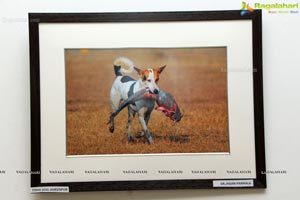 State Art Gallery, Hyderabad