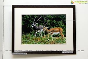 State Art Gallery, Hyderabad