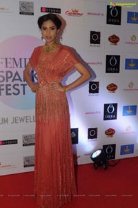 Femina Sparkle Fest 2014