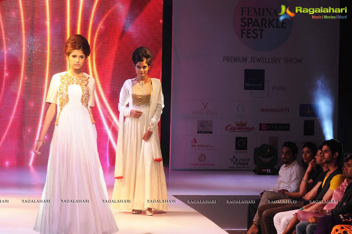 Femina Sparkle Fest 2014, Mumbai