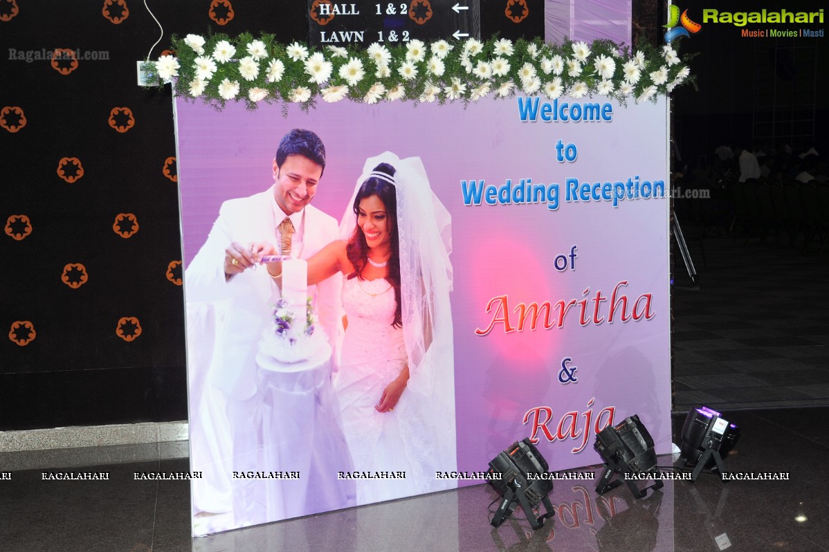 Raja Hebel-Amritha Regina Vincent Wedding Reception